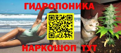 дживик Кунгур
