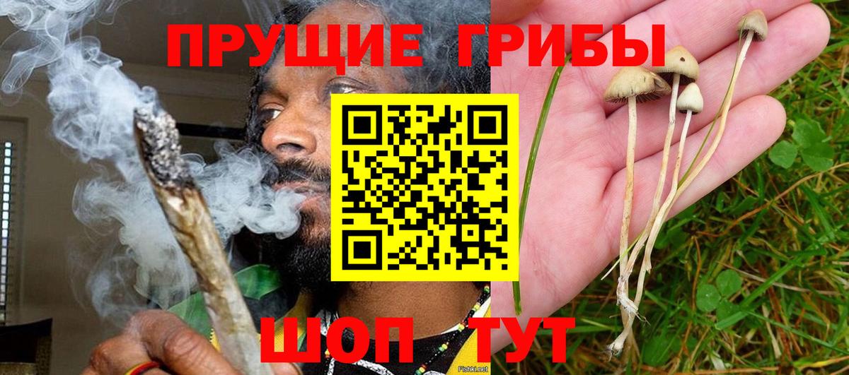 Бутурлиновка  где можно купить   Вход с VPN  Псилоцибиновые грибы прущие грибы 