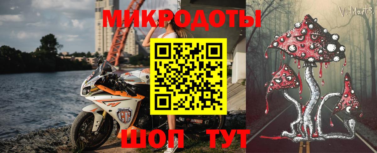 Псилоцибиновые грибы GOLDEN TEACHER  Псилоцибиновые грибы Psilocybine cubensis  Бутурлиновка 