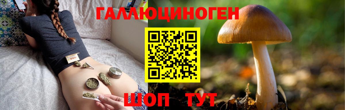 Галлюциногенные грибы мицелий Бутурлиновка